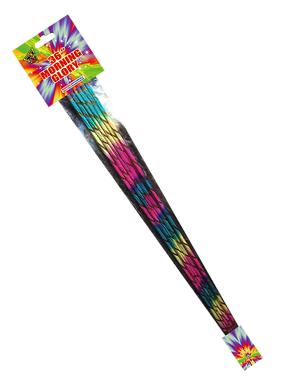 36" Morning Glory, 1 Pack