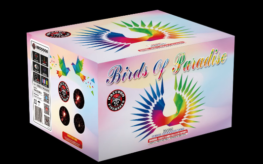 Birds Of Paradise
